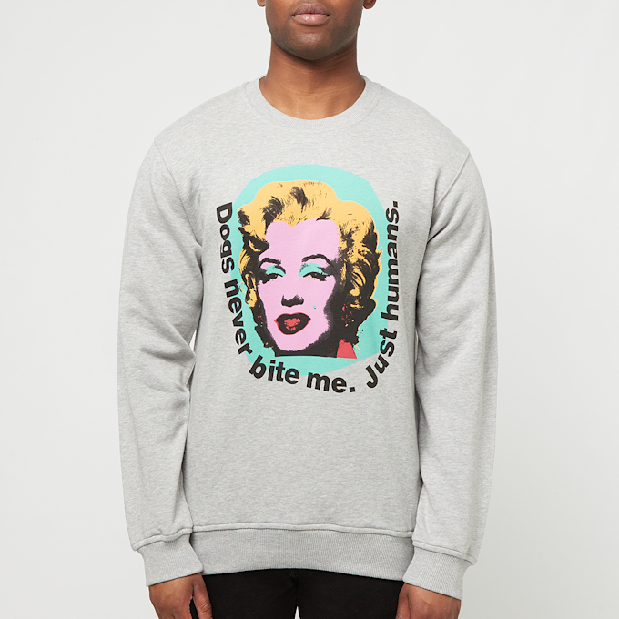Comme des Garcons Shirt Sweatshirt juniper grau 89601 2