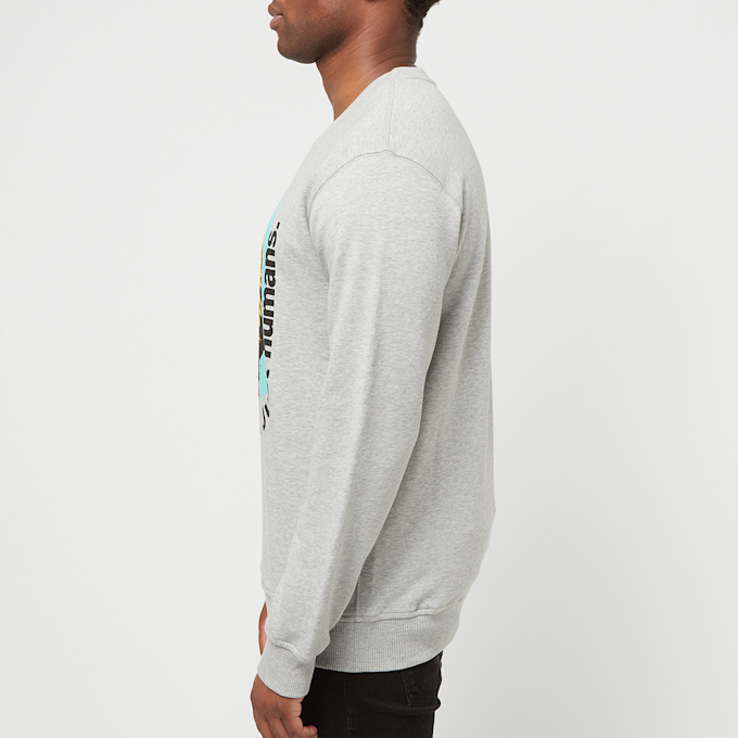 Comme des Garcons Shirt Sweatshirt juniper grau 89601 3