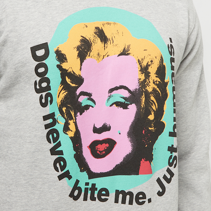 Comme des Garcons Shirt Sweatshirt juniper grau 89601 5