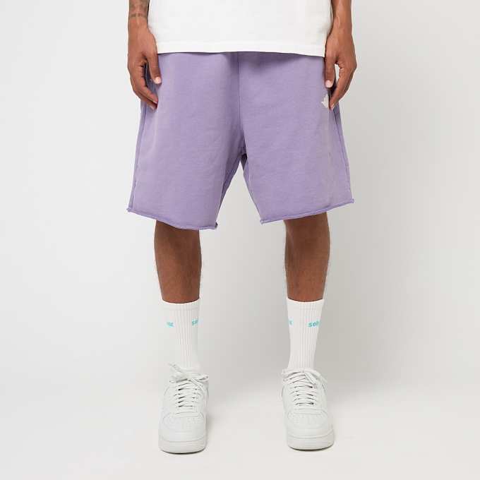 Jordan Air Jordan Rair Fleece Short purple earth/sail lila 86278 2