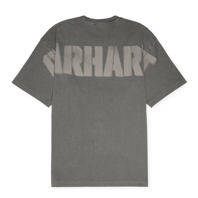 Carhartt WIP RGGD T-Shirt grey 91508 1