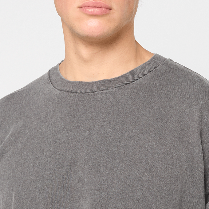 Carhartt WIP RGGD T-Shirt grey 91508 5