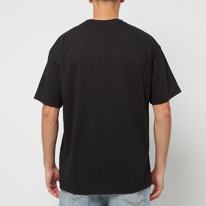 Nike NRG ACG Short Sleeve LBR Tee black 73474 4
