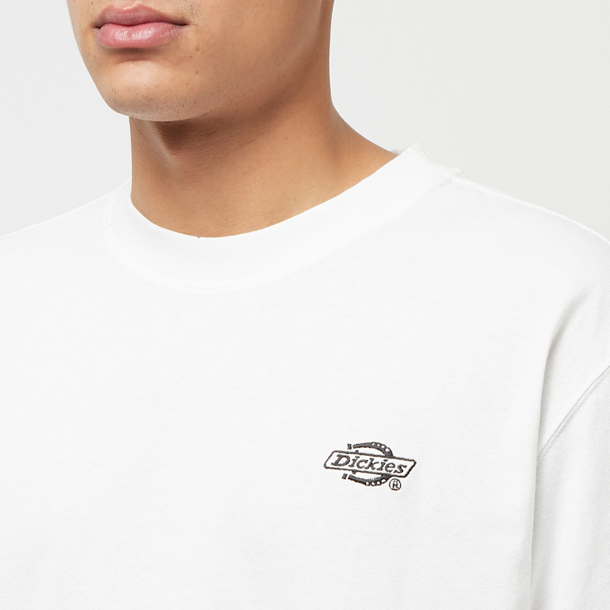 Dickies Summerdale Tee Longsleeve weiß 83490 5