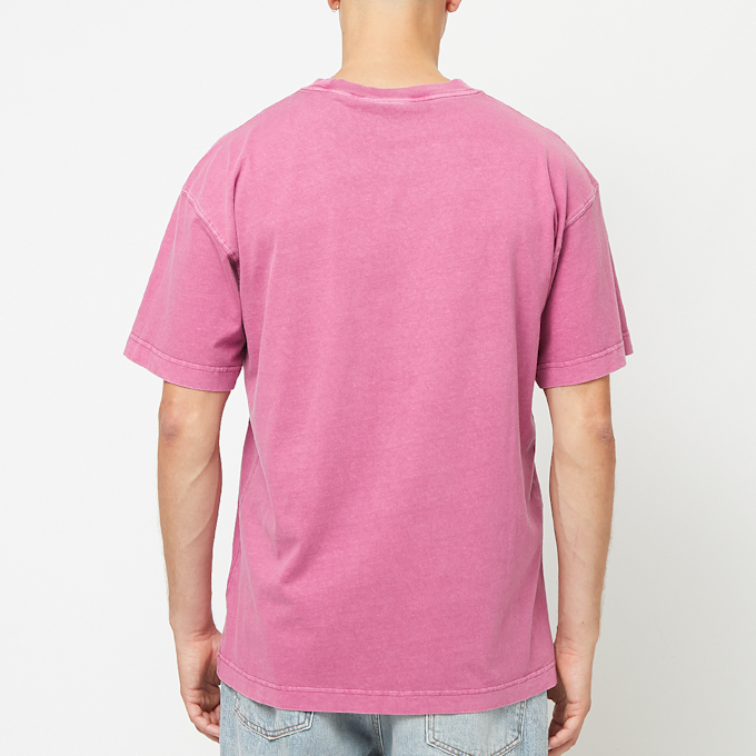 Carhartt WIP Nelson T-Shirt rot 83918 4