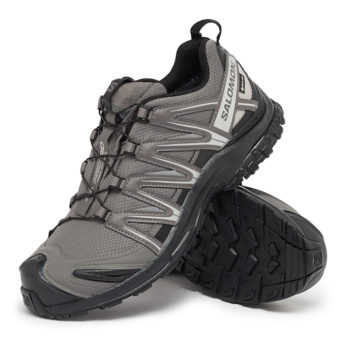Salomon XA PRO 3D GTX grau 86047 7