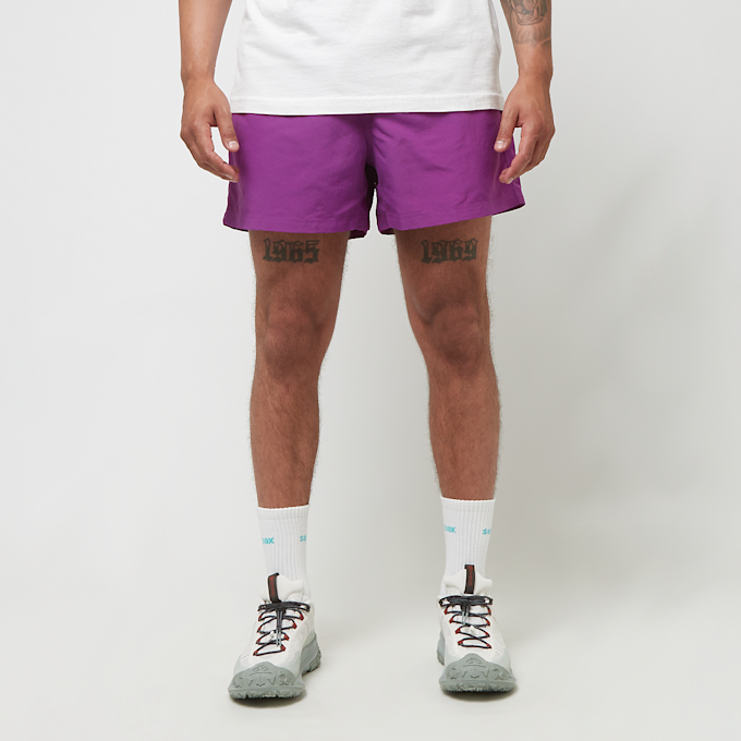 Nike ACG Shorts "Reservoir Goat" pourpre 89550 2