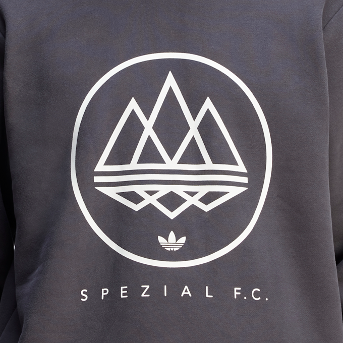 adidas Originals Spezial FC Longsleeve grey 90273 5