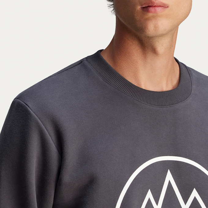 adidas Originals Spezial FC Longsleeve grey 90273 6