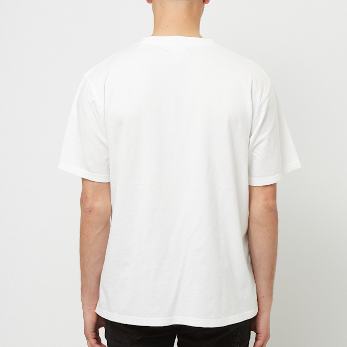 Dickies Garment Dyed Shortsleeve Jersey Tee weiß 89038 4