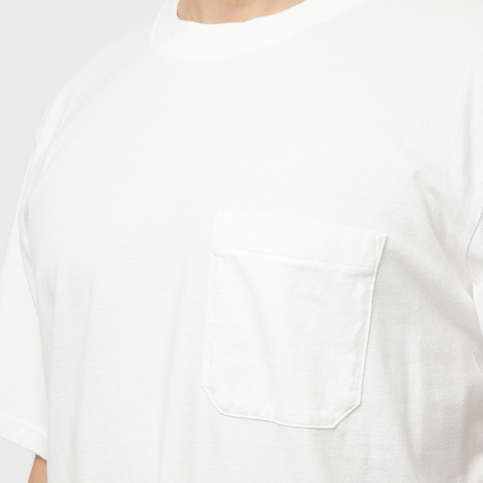Dickies Garment Dyed Shortsleeve Jersey Tee weiß 89038 5