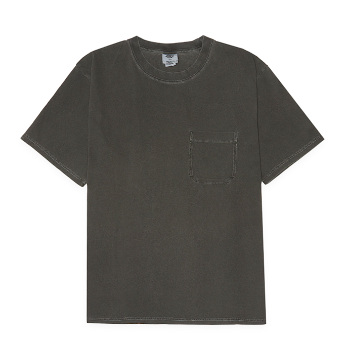 Dickies Garment Dyed Jersey T-Shirt grijs 90516 1