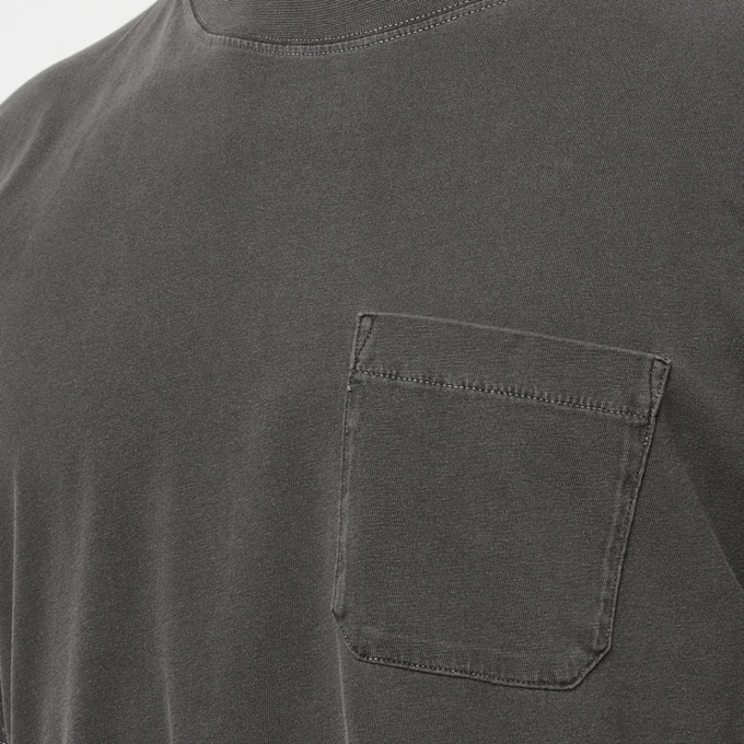 Dickies Garment Dyed Jersey T-Shirt grijs 90516 5