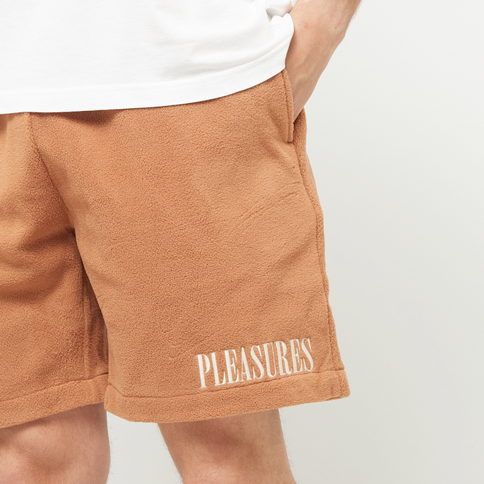 Pleasures Equator Shorts braun 89621 6