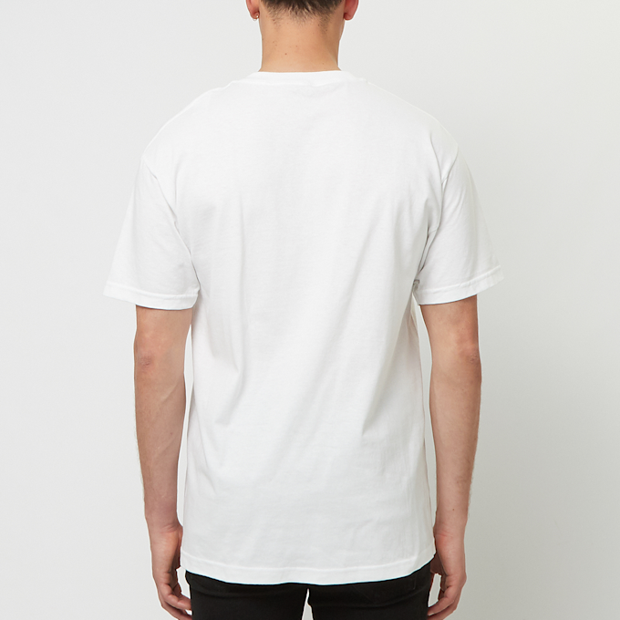 Pleasures Gift T-Shirt white 86965 4