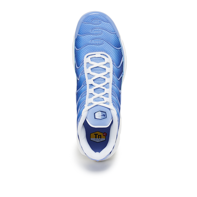 Nike Air Max Plus blau 85141 4