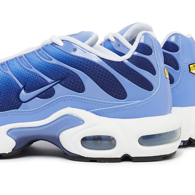 Nike Air Max Plus blau 85141 5