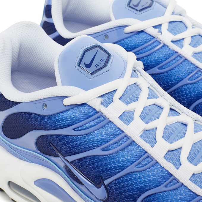 Nike Air Max Plus blau 85141 6
