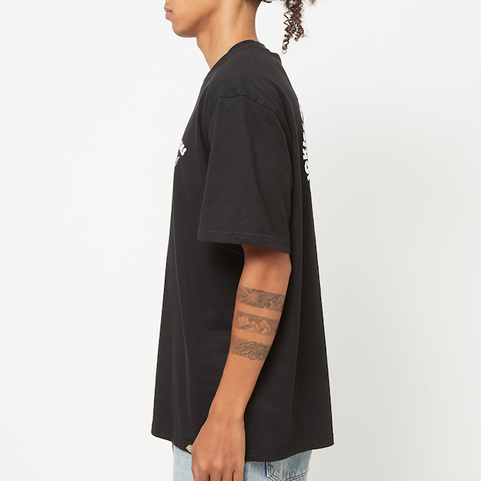 Dickies Goose T-Shirt black 85299 3