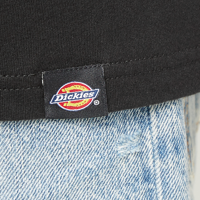 Dickies Goose T-Shirt black 85299 7