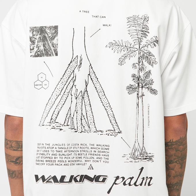 Nike ACG "Walking Tree" Dri-FIT T-Shirt weiß 88750 5
