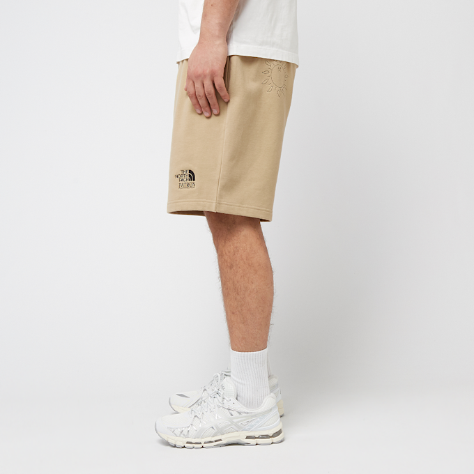 The North Face Mountain Cleanup Relaxed Shorts beige 89841 3