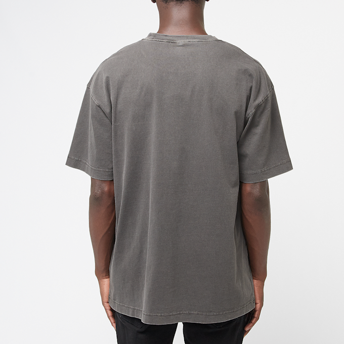 Carhartt WIP Nelson T-Shirt grau 89726 4
