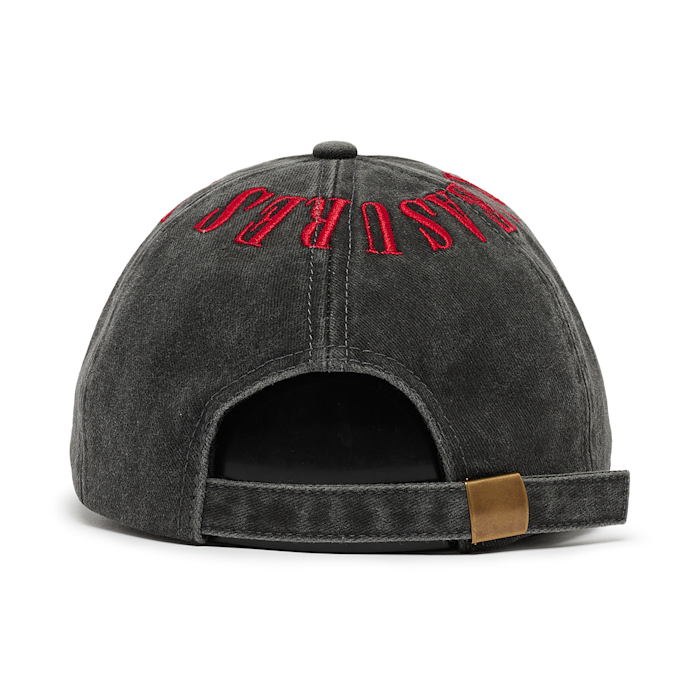 Pleasures Onyx Crown Washed Cap gris 91117 2