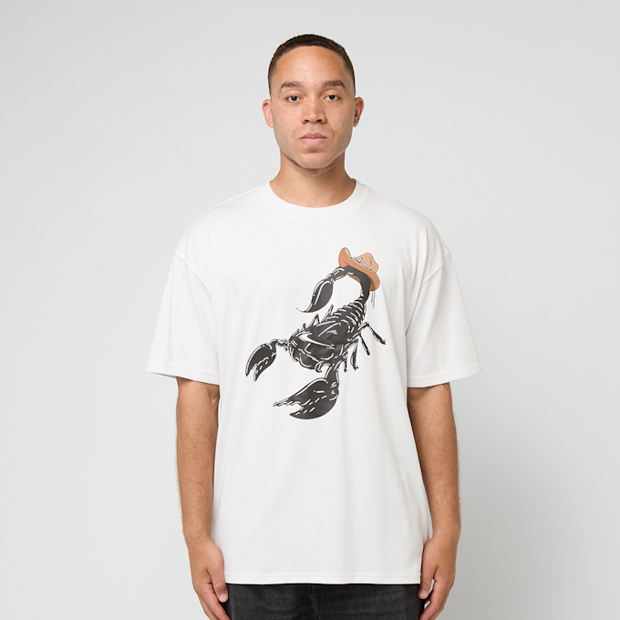 Nike Acg Tee Oc Scorpion summit white wit 86355 2