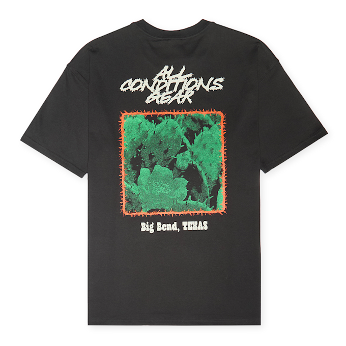 Nike Acg Tee Oc Cactus black schwarz 88544 1