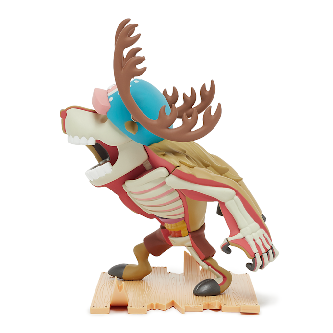 MightyJaxx XXRAY Plus Monster Point multicolore 90408 2
