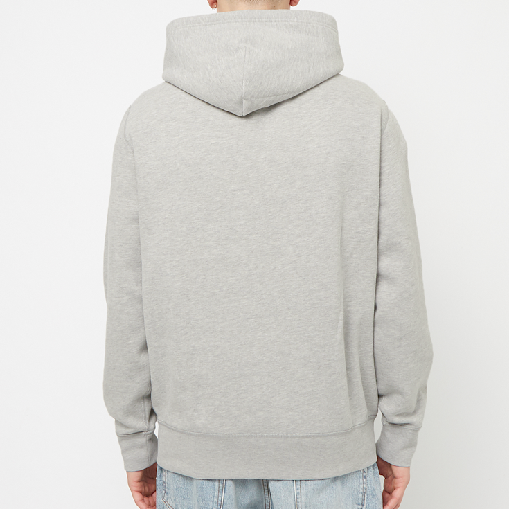Buy Polo Ralph Lauren Hoodie in grey | 710766778006 at solebox