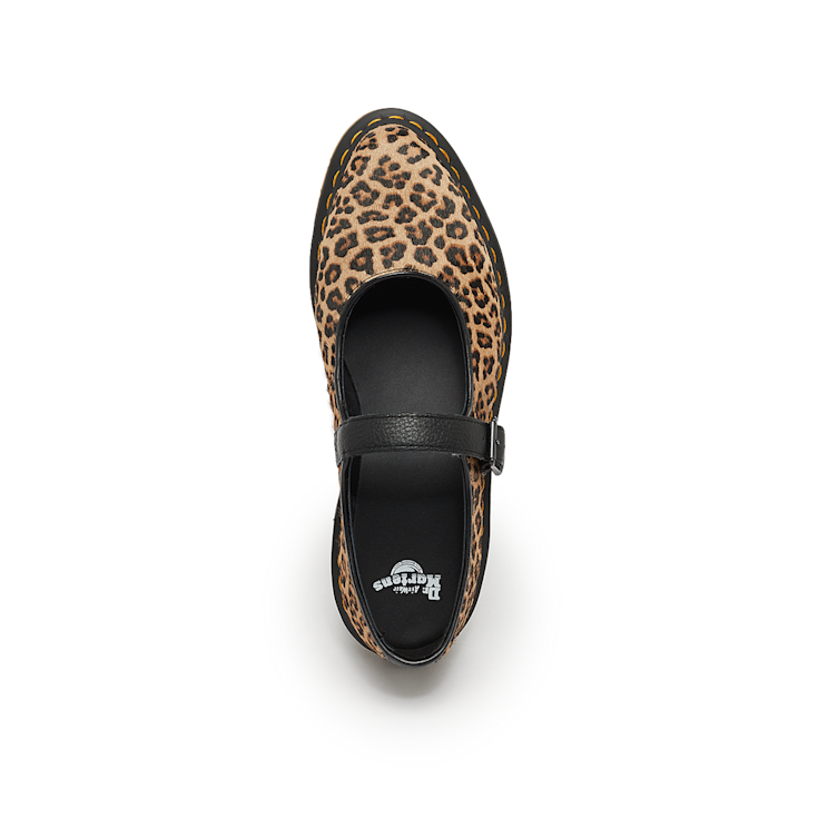 サングラス ^ONE BRILLIANT^ DaphneOB438Leopard Daphne-OB438-Leopard Daphne-OB438-Leopard - ONE BRILLIANT