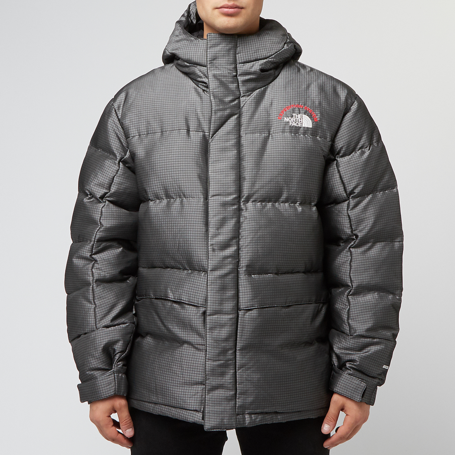 Buy The North Face Himalayan 30 Anniversary Parka in grey