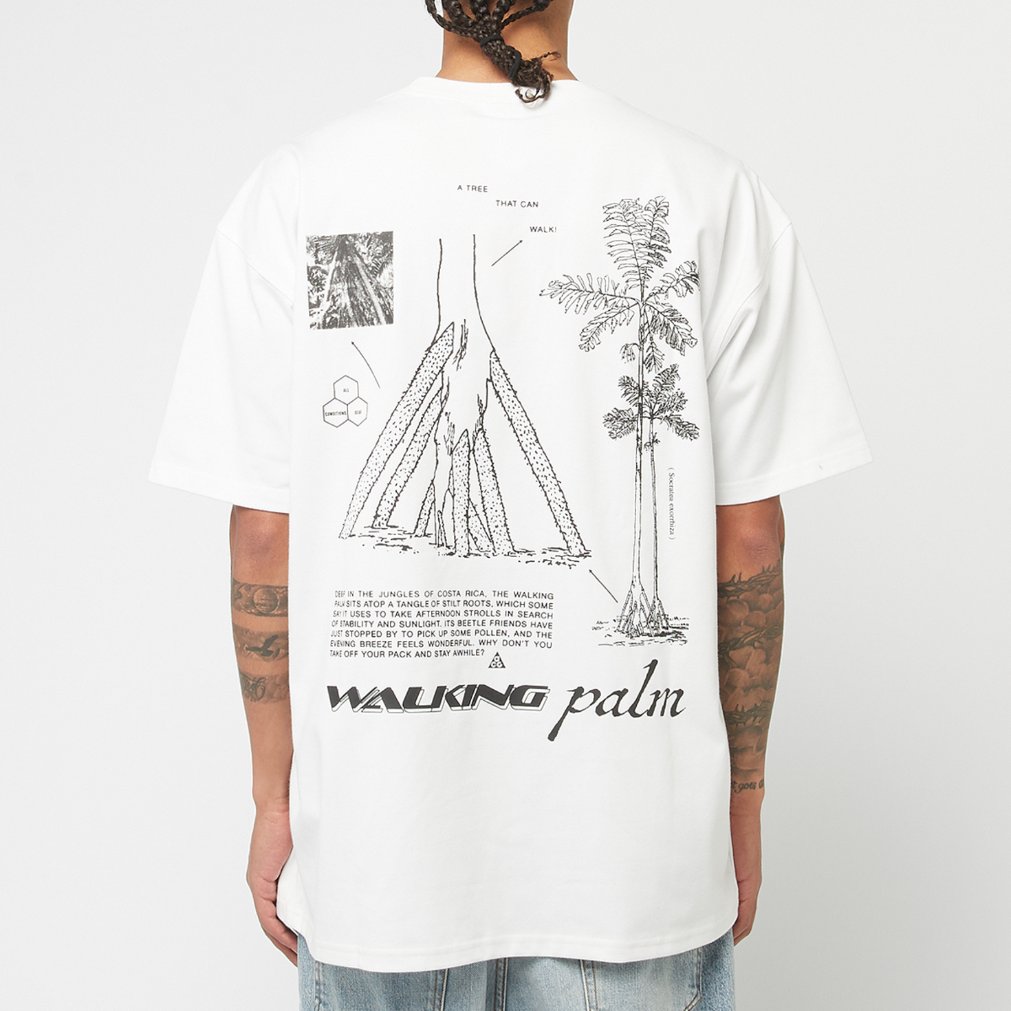 ★Nike★ ACG Walking Tree Men's Dry Fit T-Shirt HJ0797-297 M+ACG+DF+TEE+OC+WALK+TREE.png