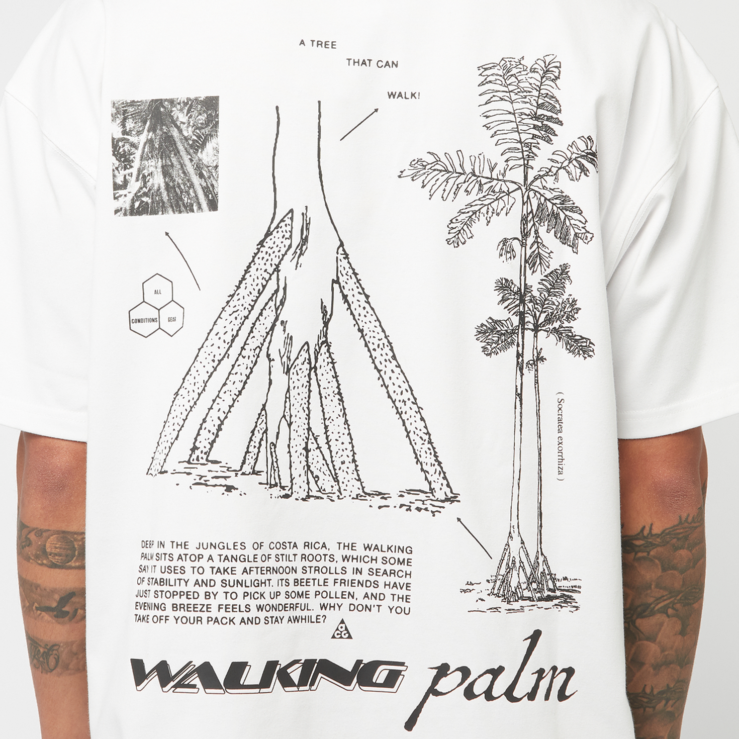 ★★Nike★★ ACG Walking Tree Dry Fit T-Shirt M Summit White Nike ACG 
