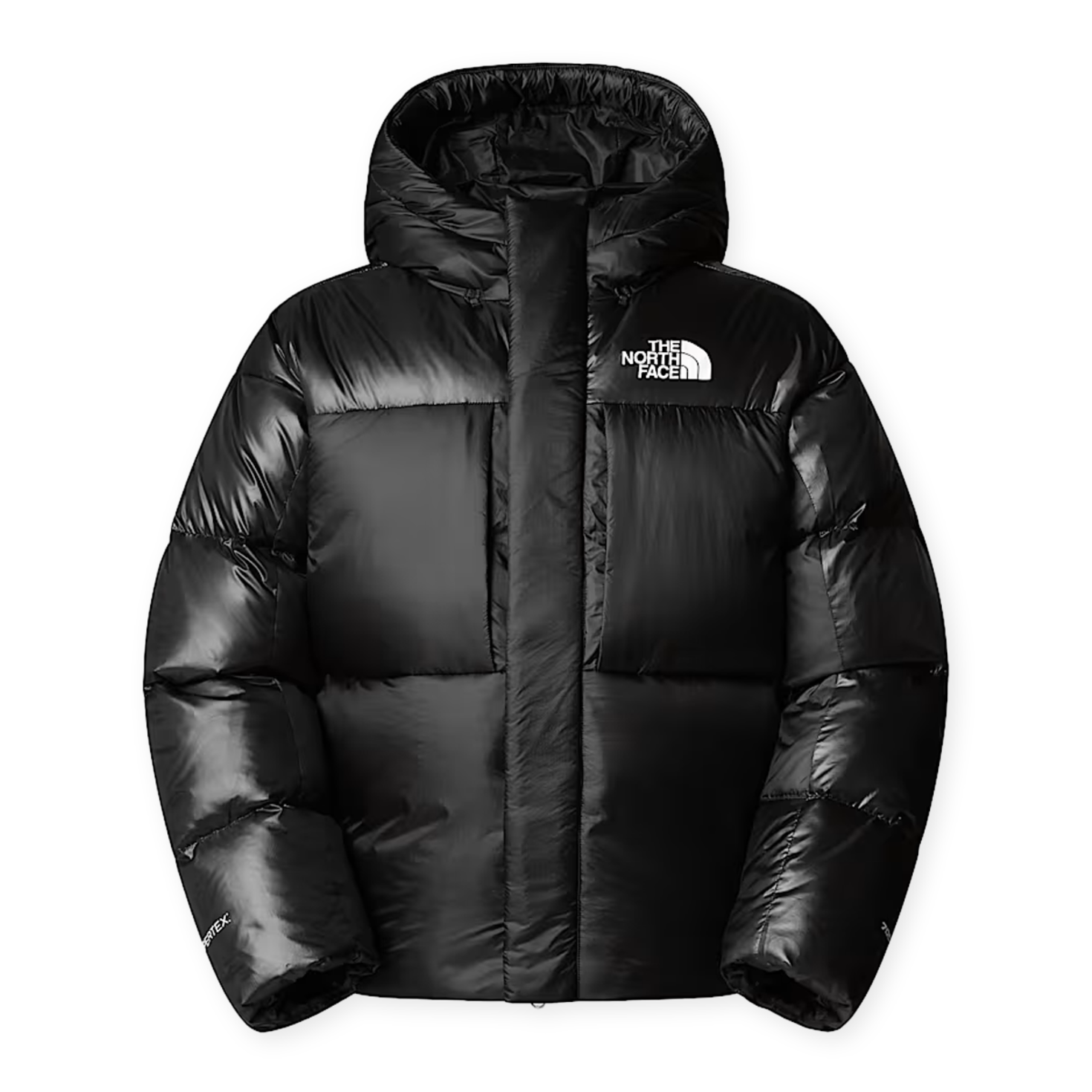 Buy The North Face Pertex Down Jacket in black | NF0A8DQBJK31 at