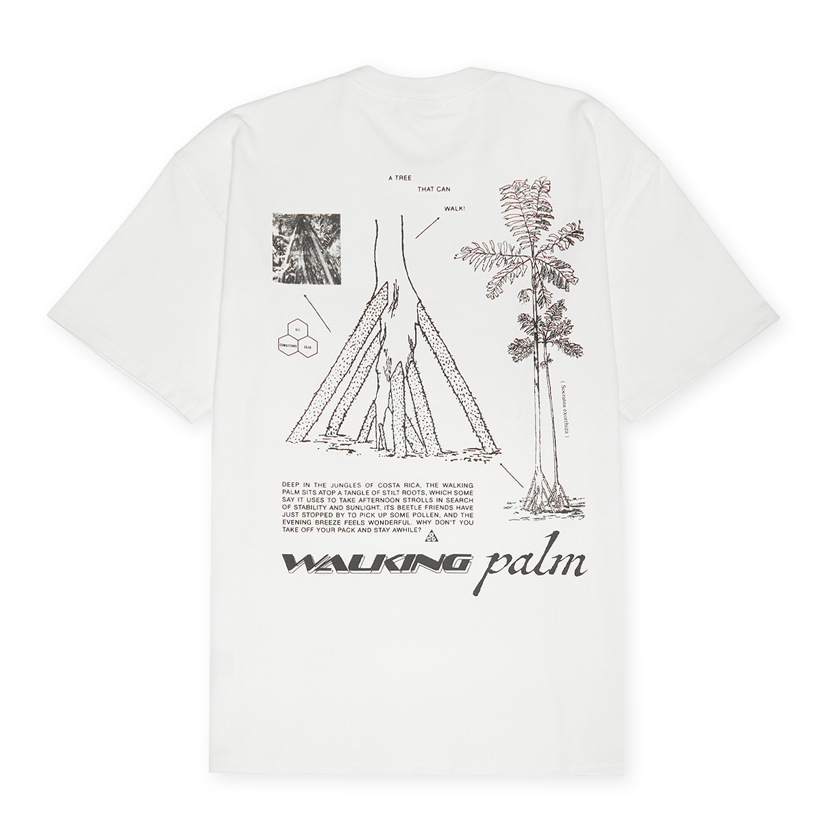 ★Nike★ ACG Walking Tree Dry Fit T-Shirt M Parachute Beige Nike ACG 
