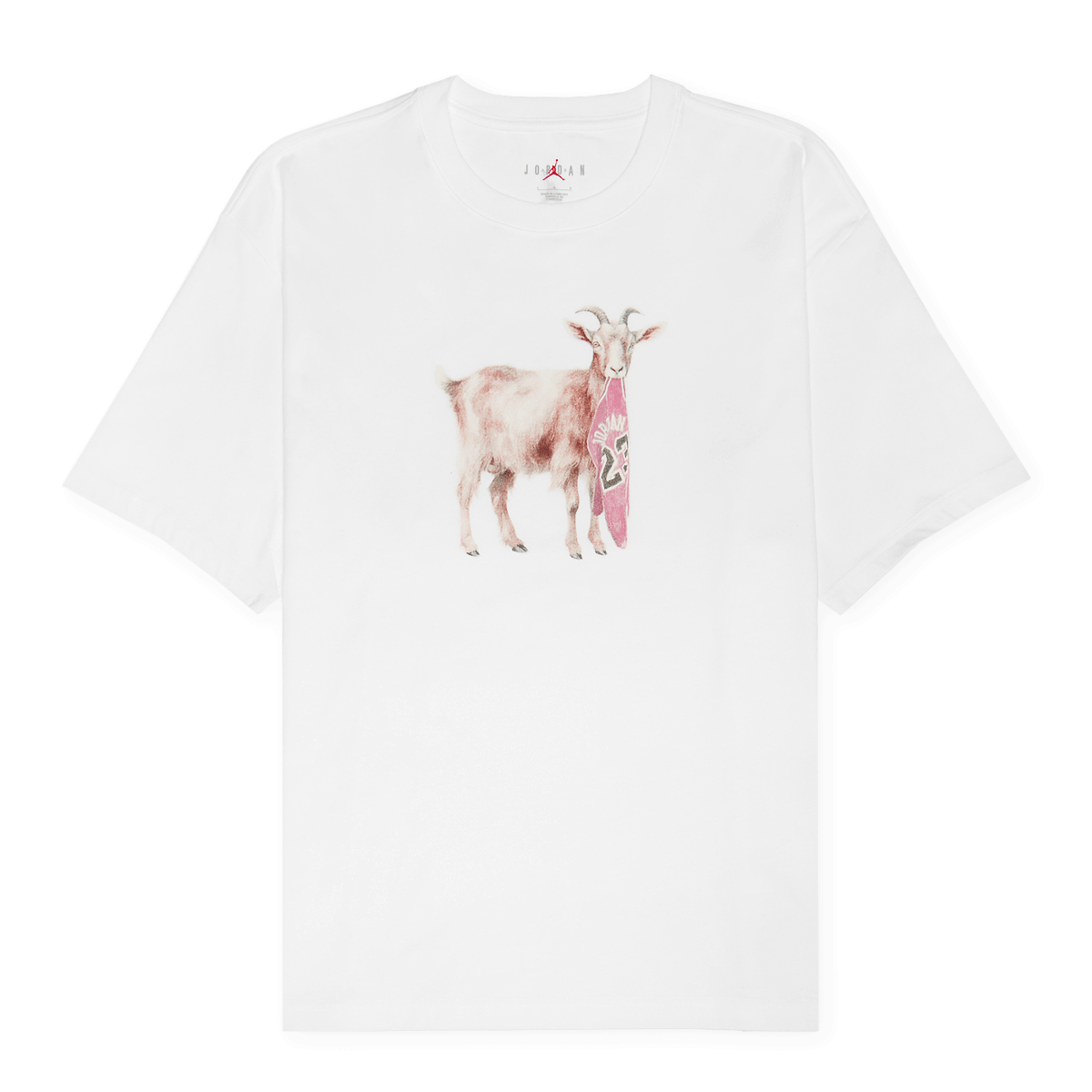 Buy Jordan Michael Jordan Goat T-Shirt in white/black | IF0786-100