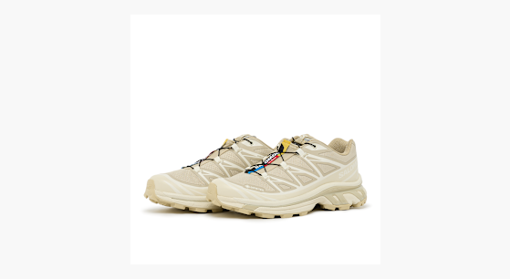 Salomon XT-6 GTX ベージュ 28cm 477324-30_1.jpg?crop=center&
