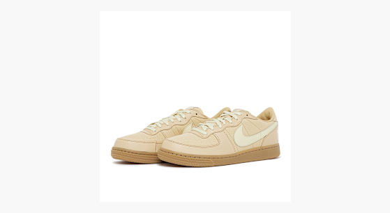 Buy Nike Terminator Low 