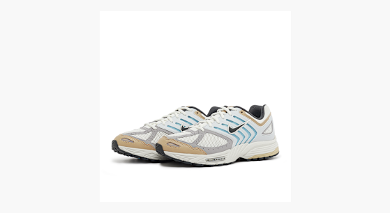 Buy Nike Air Pegasus 2K5 
