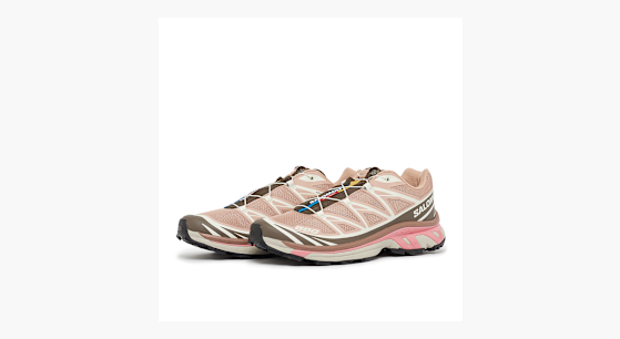Buy Salomon XT-6 GTX in rosa | L47737300 | solebox