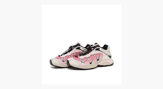 Buy Salomon Wmns XT-Whisper in light pink | L47761200 at solebox
