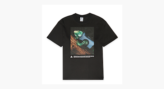 Buy Nike ACG Dri-Fit Iguana Tee in zwart | HJ0889-010 at solebox