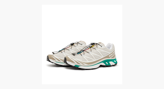 Buy Salomon XT-6 in rainy day/chinchilla/dynasty green | L47864300
