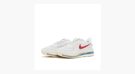 Buy Nike Wmns Pegasus Premium „Forrest Gump“ in white/white-sail