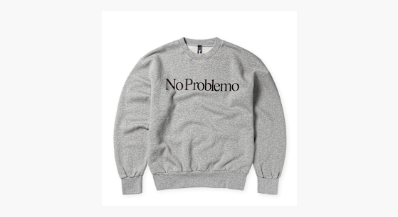Buy No Problemo No Problemo Sweatshirt in grey | NP2000204-GRYM