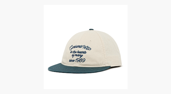 Buy Carhartt WIP Alston Cap in beige | I035659.39TXX.06. | solebox