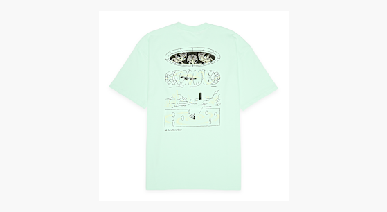 Buy Nike ACG Mystery Lights T-Shirt in mint foam | HV2172-353